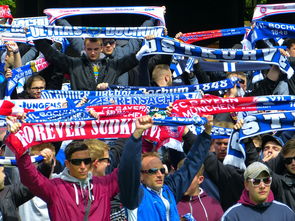 球迷文化盛宴：从欧洲到亚洲的足球狂欢，中国足球球迷文化